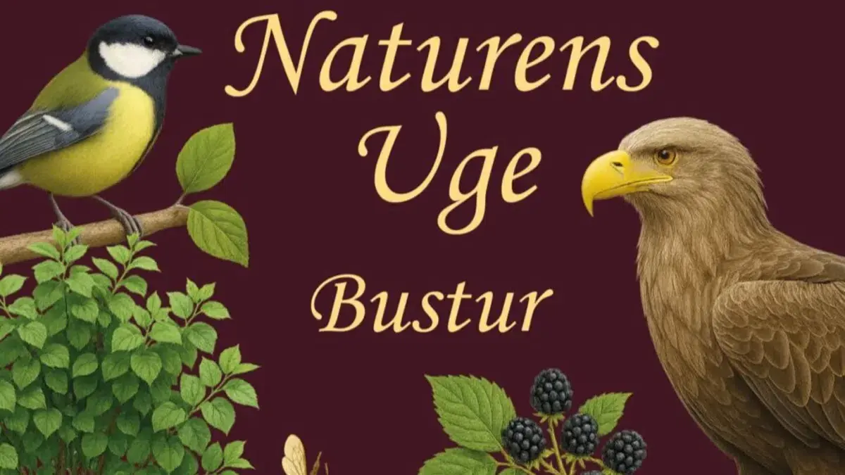 Søholt Storskov – naturen viser sig — De Gamle Huse, Maribo