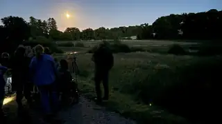 Bats and Nocturnal Animals in Naturnationalpark Fussingø