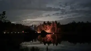 Evening in the Forest at Løvbakkerne - Creative Workshop and Nature Experiences