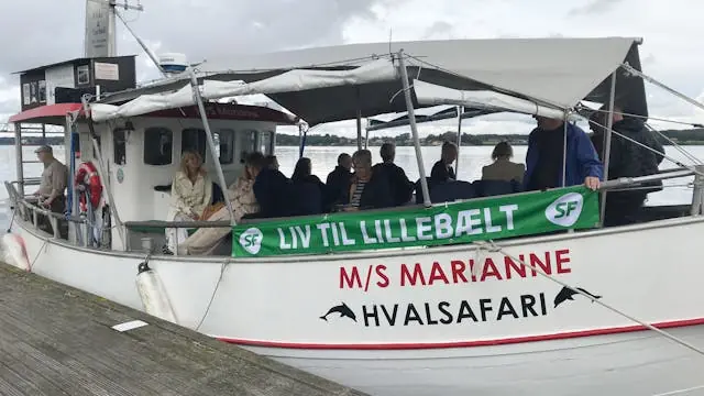 Sejlture med SF — Kajen ved Café Razz, Middelfart