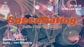 Speed Dating with Sex & Samfund