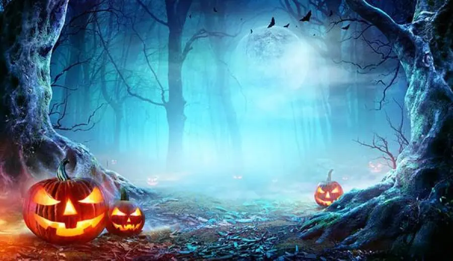 Student Halloween Dinner — Roskilde Bibliotek, Roskilde