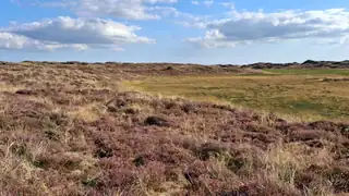 Årsmøde DN Fanø