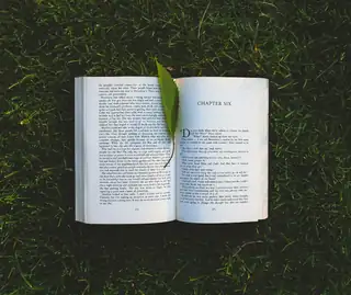 Litteraturcafé