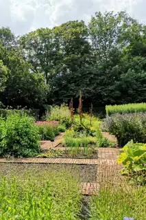 Havevandring i Spøttrup Borgs lægeurtehave og park