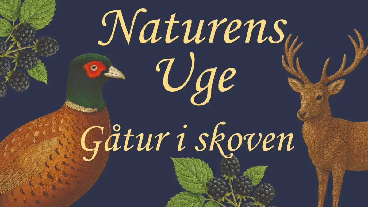 Gåtur i Rydsmarke- og Kidnakkeskoven — De gamle Huse, Maribo