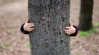 Udforsk naturen i skoven