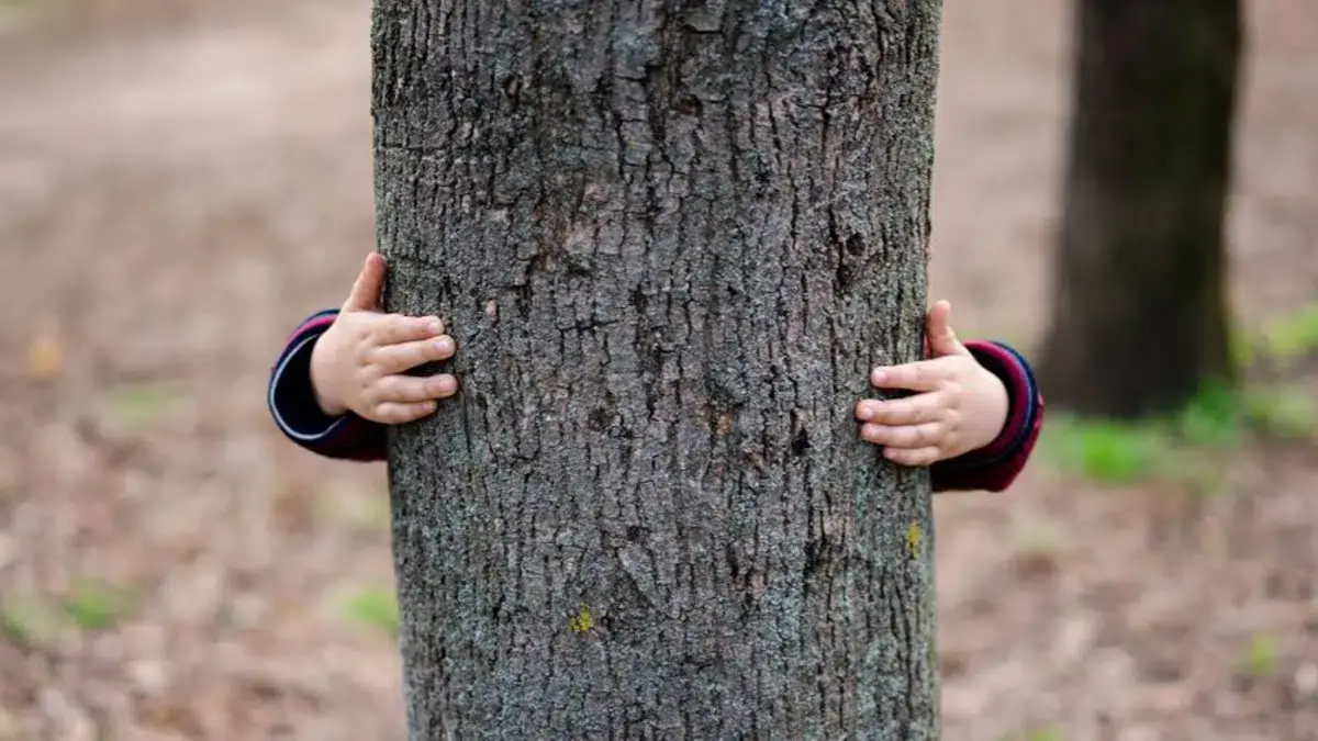 Udforsk naturen i skoven — Skovsøen ved Rævevej, Grenaa