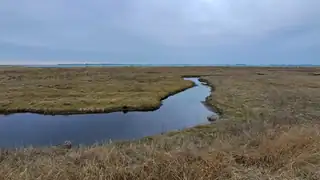 Årsmøde i Danmarks Naturfredningsforening på Samsø