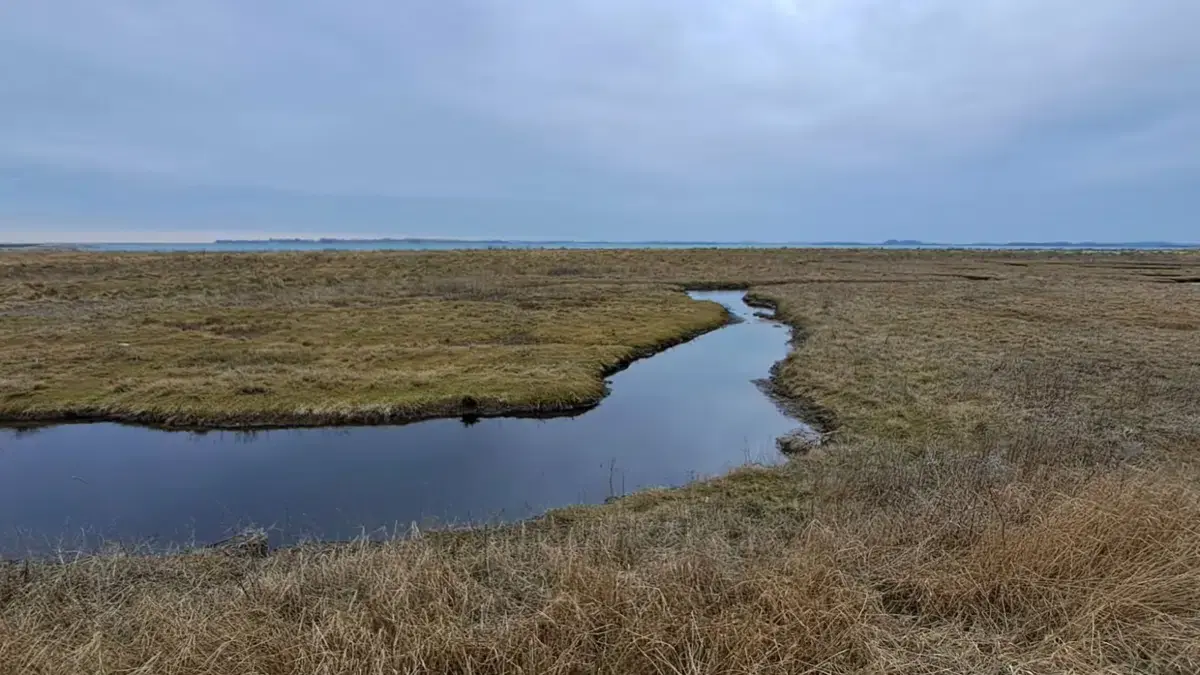 Årsmøde i Danmarks Naturfredningsforening på Samsø — Samsø