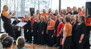 Christmas Concert with Cora Rytmica