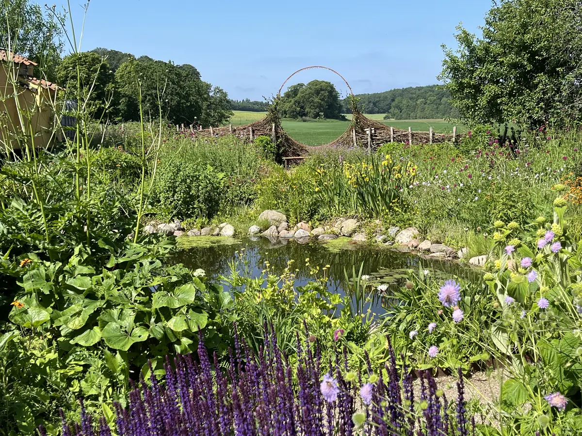 Lecture: Insect-Friendly Garden Design · Langeland Bibliotek, Rudkøbing