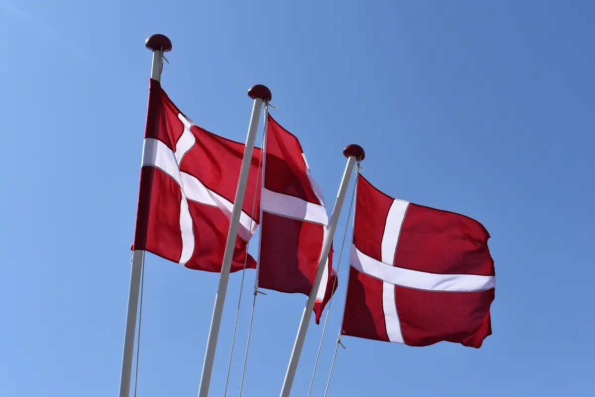 FLAG DAY: Veteran Café and Lejre Municipality Celebrate Together · Kirke Hyllinge Bibliotek, Kirke Hyllinge