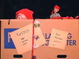 A Real Christmas Elf