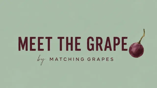 Wine Tasting - Meet the Grape: Sauvignon Blanc · Matching Grapes, Copenhagen
