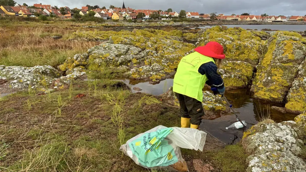 GIV NATUREN EN EFTERÅRSRENGØRING · Svaneke