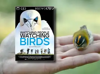 Watching People Watching Birds – film og oplæg om fugle, natur og forundring