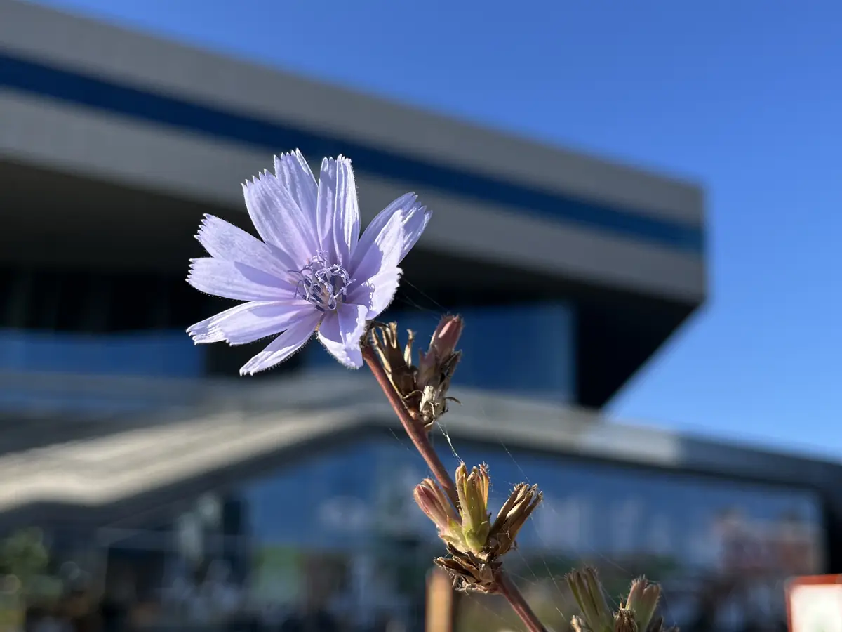 Plant Workshop — Hovedbiblioteket, Aarhus