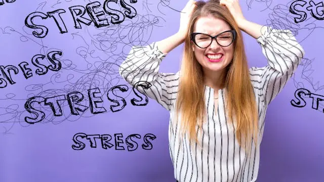 When Stress Takes Over the Brain · Hammelev-hallen, Hammelev