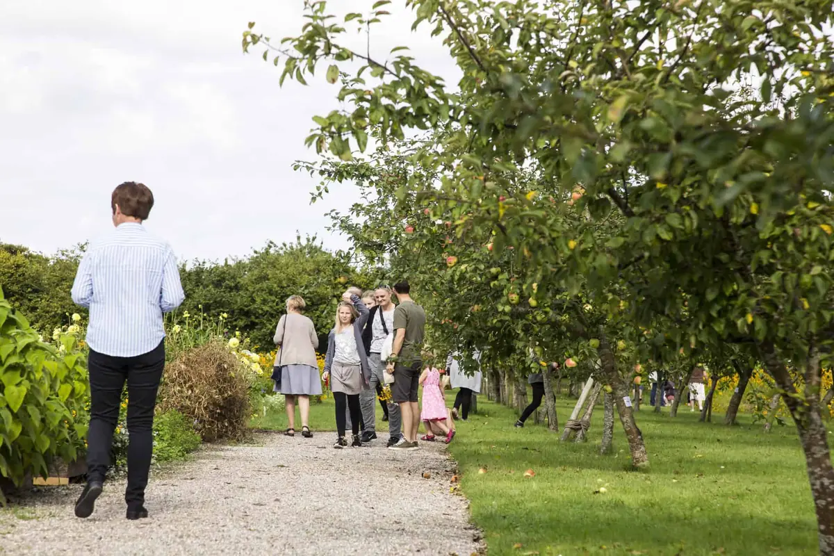 Høstmarked i Den Kongelige Køkkenhave — Den Kongelige Køkkenhave ved Gråsten Slot, Gråsten