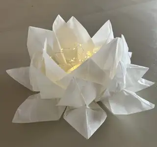 Water Lily Folding