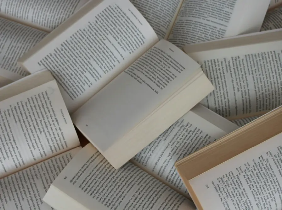 The Meaningful Life According to Literature · Holstebro Bibliotek, Holstebro