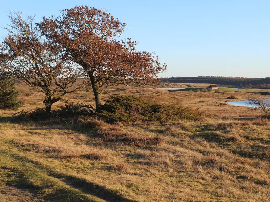 The Meaningful Life According to Theology · Holstebro Bibliotek, Holstebro