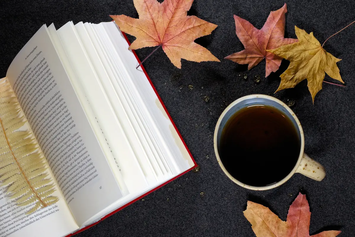 Bogcafé i Skals — Skals Bibliotek, Skals