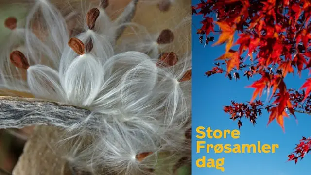 Great Seed Collector Day - Seed-gathering walk on Fælleden for the whole family · Købehavn S