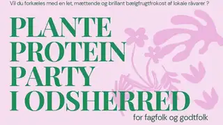 Plant*Protein*Pumpkin*Party in Odsherred