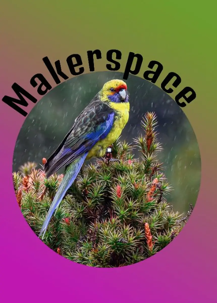 Makerspace: Вечер с Photopea - ваша бесплатная альтернатива Photoshop! — Helsinge Bibliotek, Helsinge