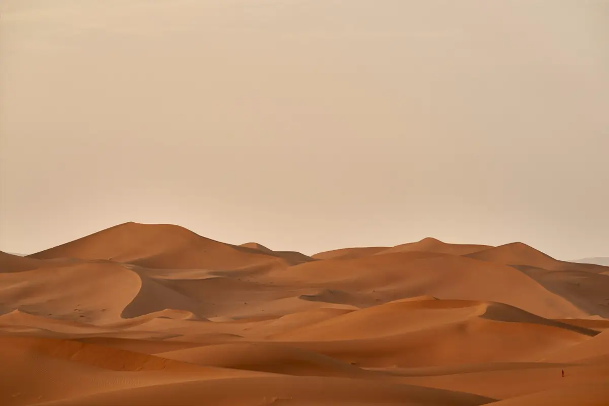 Littera|TUR About Deserts · Langeland Bibliotek, Rudkøbing