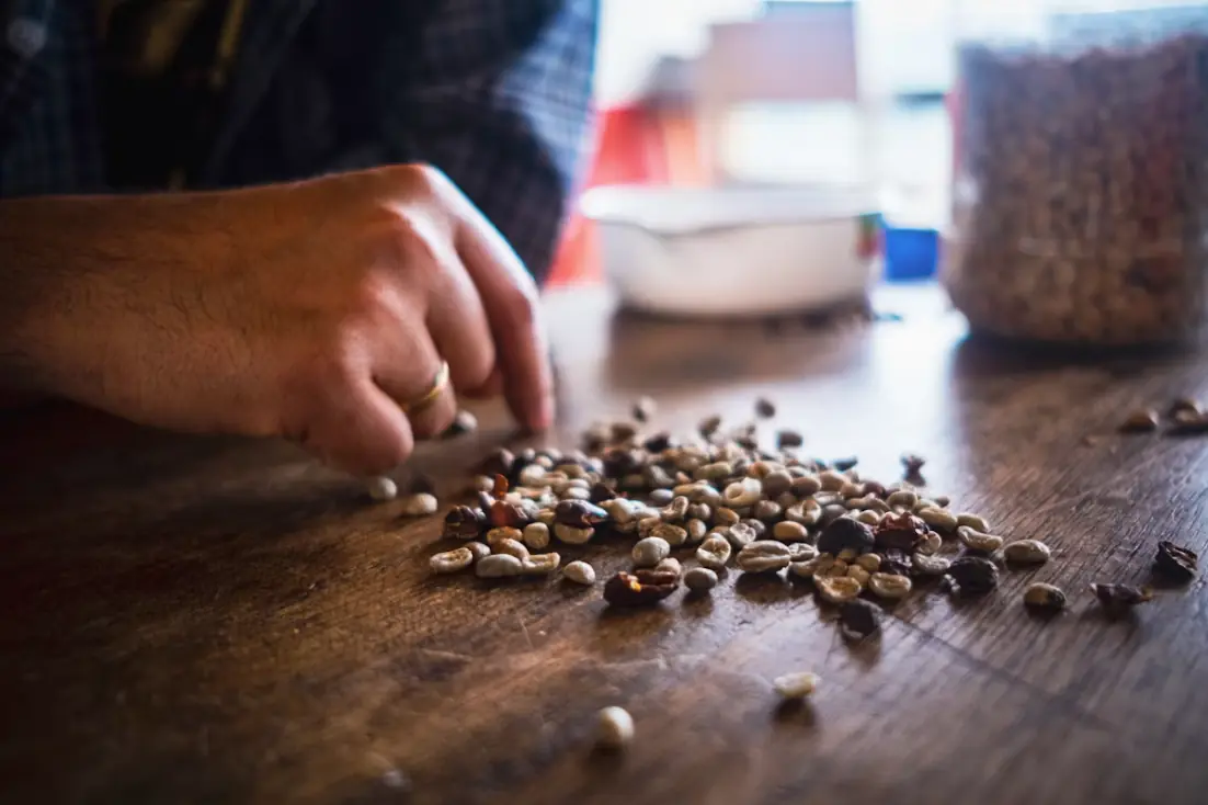 Startup Meeting: New Seed Library · Langeland Bibliotek, Rudkøbing