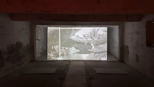 Talk: Reframing Narratives - Tinne Zenner in conversation with Jane Jin Kaisen · Art Hub Copenhagen, Copenhagen