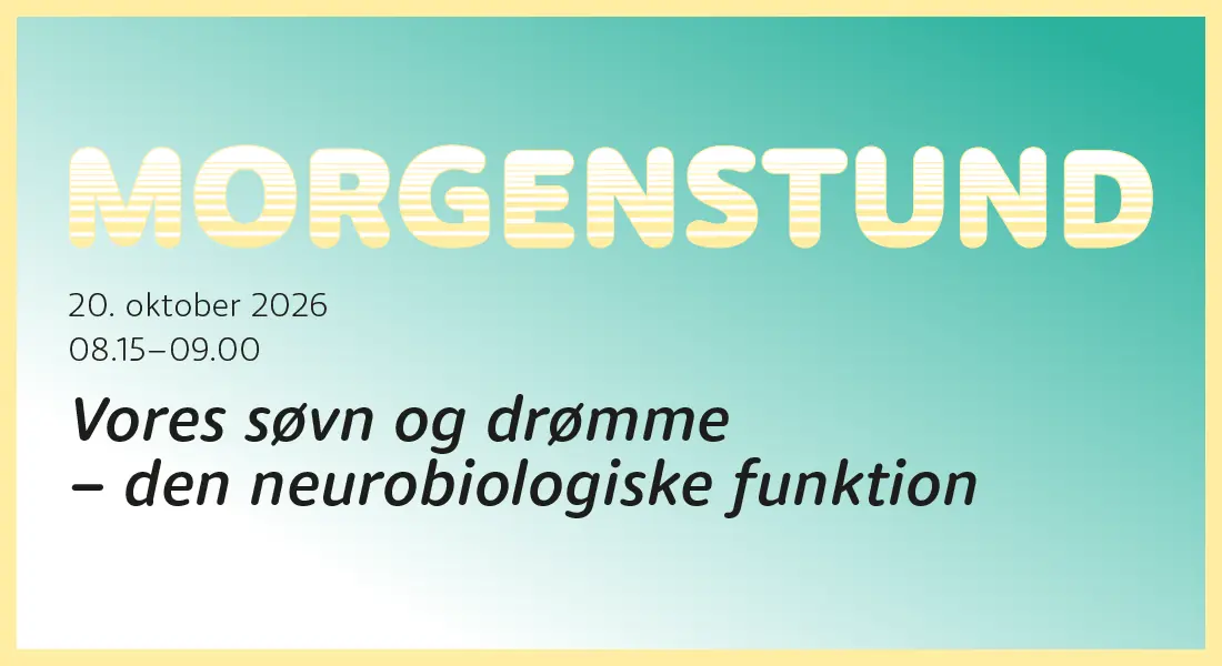 Morning Hour: Our Sleep and Dreams · Universitetsbiblioteket i Fiolstræde, Copenhagen