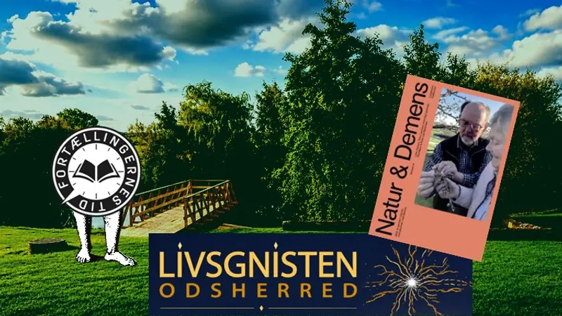 Into the Most Beautiful View: Morning Walk in Naturens Pusterum · Naturens Pusterum, Vig
