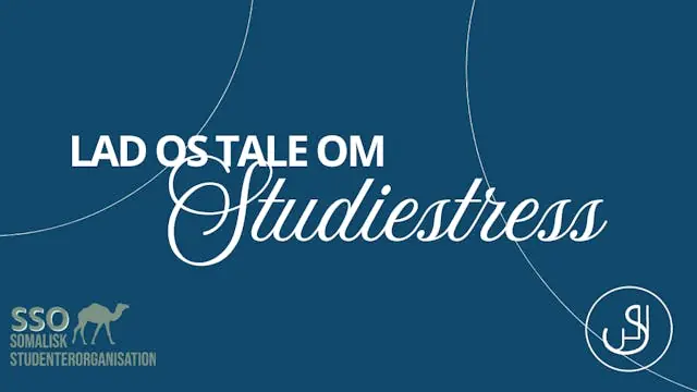 Lecture on Study Stress · U300 Auditorium, Building 45.1, SDU Odense, Odense