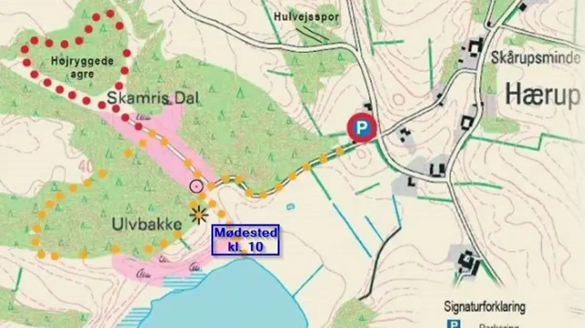 Sense mähen lernen und die Natur bei Hærup Sø unterstützen · Hobro