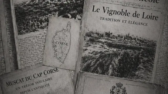ACCORD PARFAIT between Loire & Corsica · Coq en Pate, Copenhagen