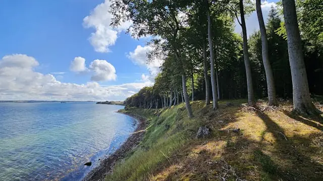 Asnæs Halvøen, 10 km. naturvandring — Havnemarken Strand og Parkering, Kalundborg