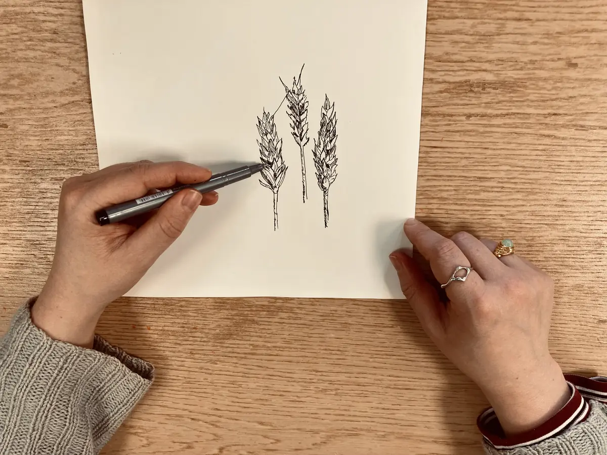 Weed Sketching · Silkeborg Bibliotek, Silkeborg