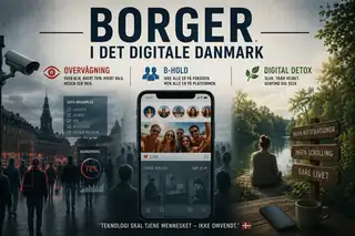 Denmark as a Surveillance Society