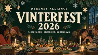Winter Festival!