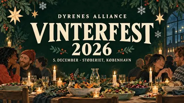 Winter Festival! · Støberiet, Copenhagen