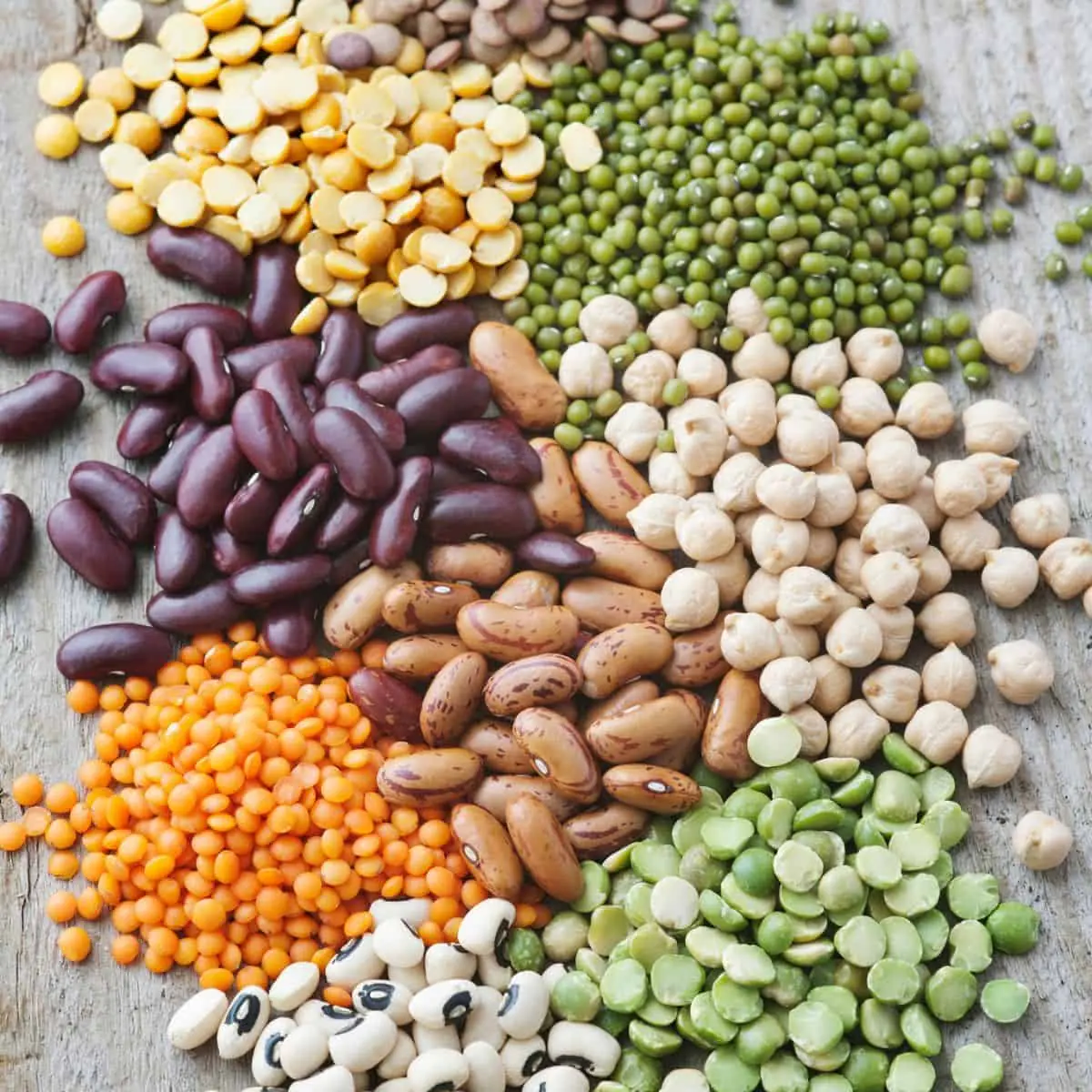 Legumes on the Agenda and in Your Kitchen · Kolibri, Sønderborg