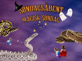 SøndagsÅbent: Magisk søndag