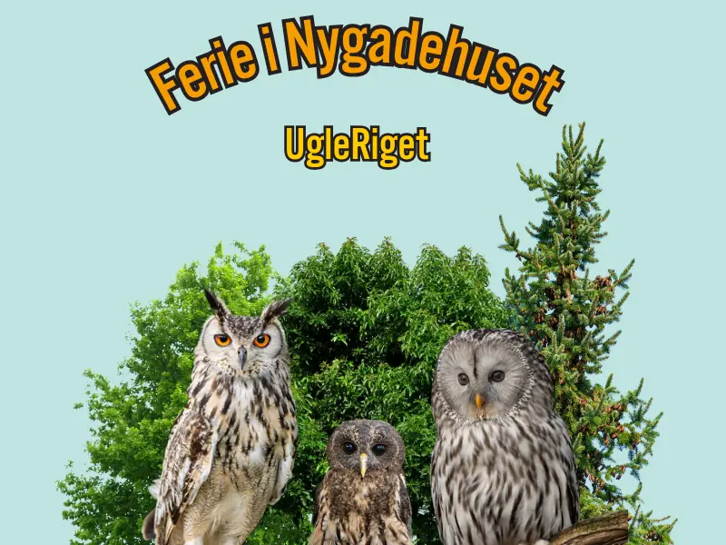 UgleRiget | NygadeHuset — Nygadehuset, Aabenraa