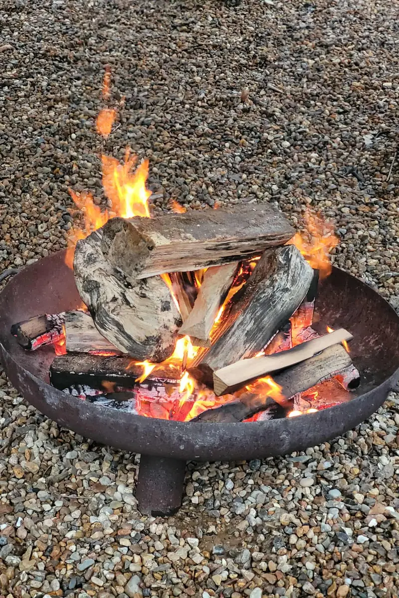 Registration for Campfire Cooking - Learning Partners and Families · Deep Forest Art Land, Kibæk