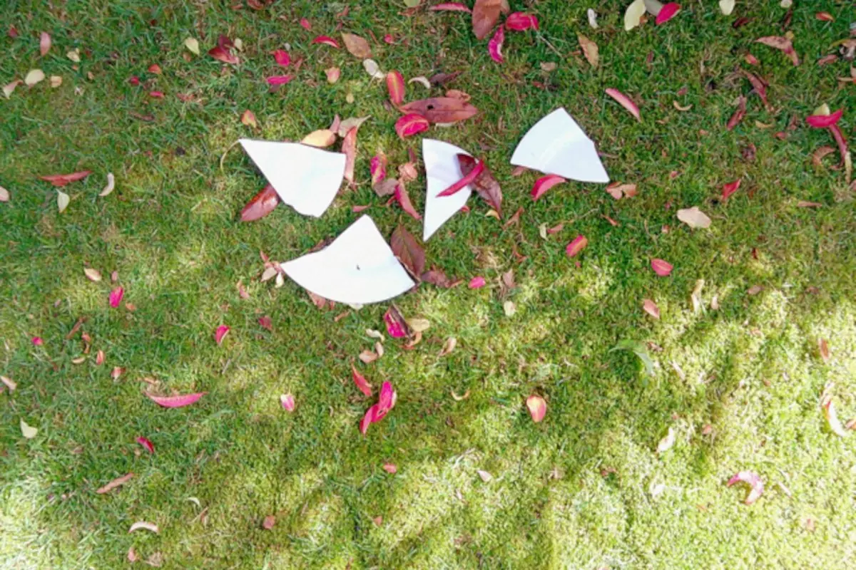 Mushrooms and the End of the Earth - Walking Performance with WERK · Sophienholm Kunsthal, Kongens Lyngby