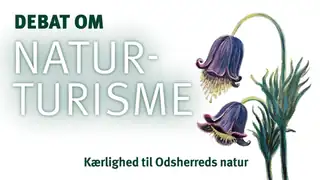 Panel debate: How can Odsherred attract more nature tourism?